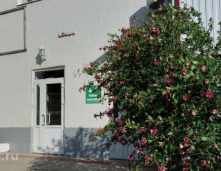 Пансионат «Теплые ладошки» Пятигорск