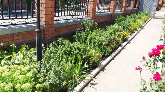 Пансионат для пожилых «Доверие» в Пятигорске фото 3